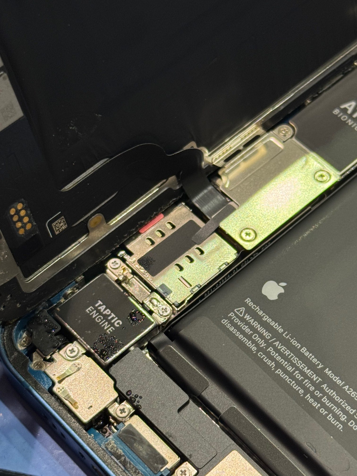 iPhone13　お風呂に持ち込みブラックアウト